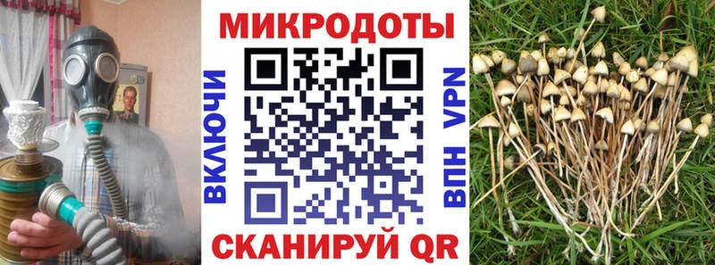 закладки  Новохопёрск  Галлюциногенные грибы Cubensis 
